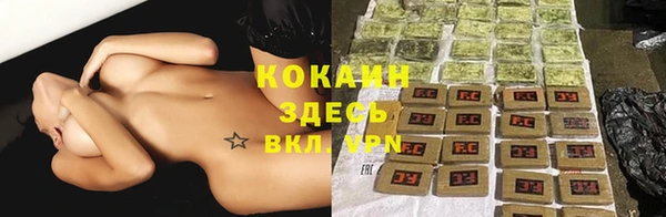 эйфоретик Аркадак