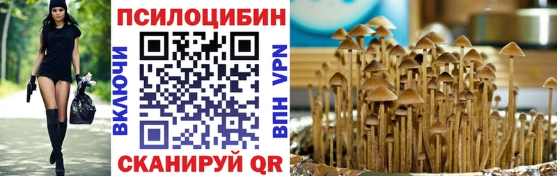 MEGA ссылки Долгопрудный Псилоцибиновые грибы прущие грибы