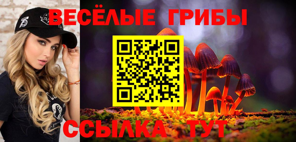 Долгопрудный  Галлюциногенные грибы прущие грибы  Вход с VPN  Псилоцибиновые грибы ЛСД 