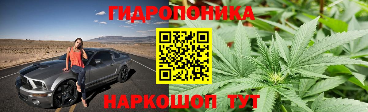 Бошки Шишки Amnesia Долгопрудный